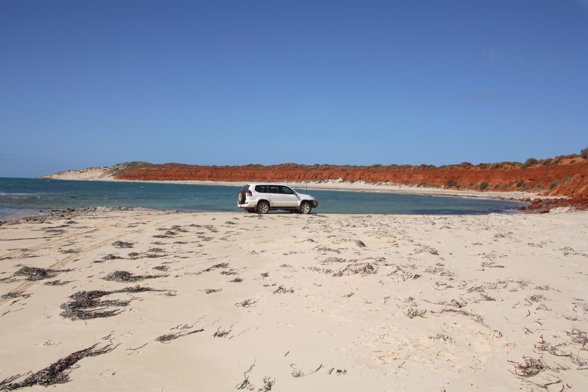 Four-wheel drive on beach near clear blue water. 