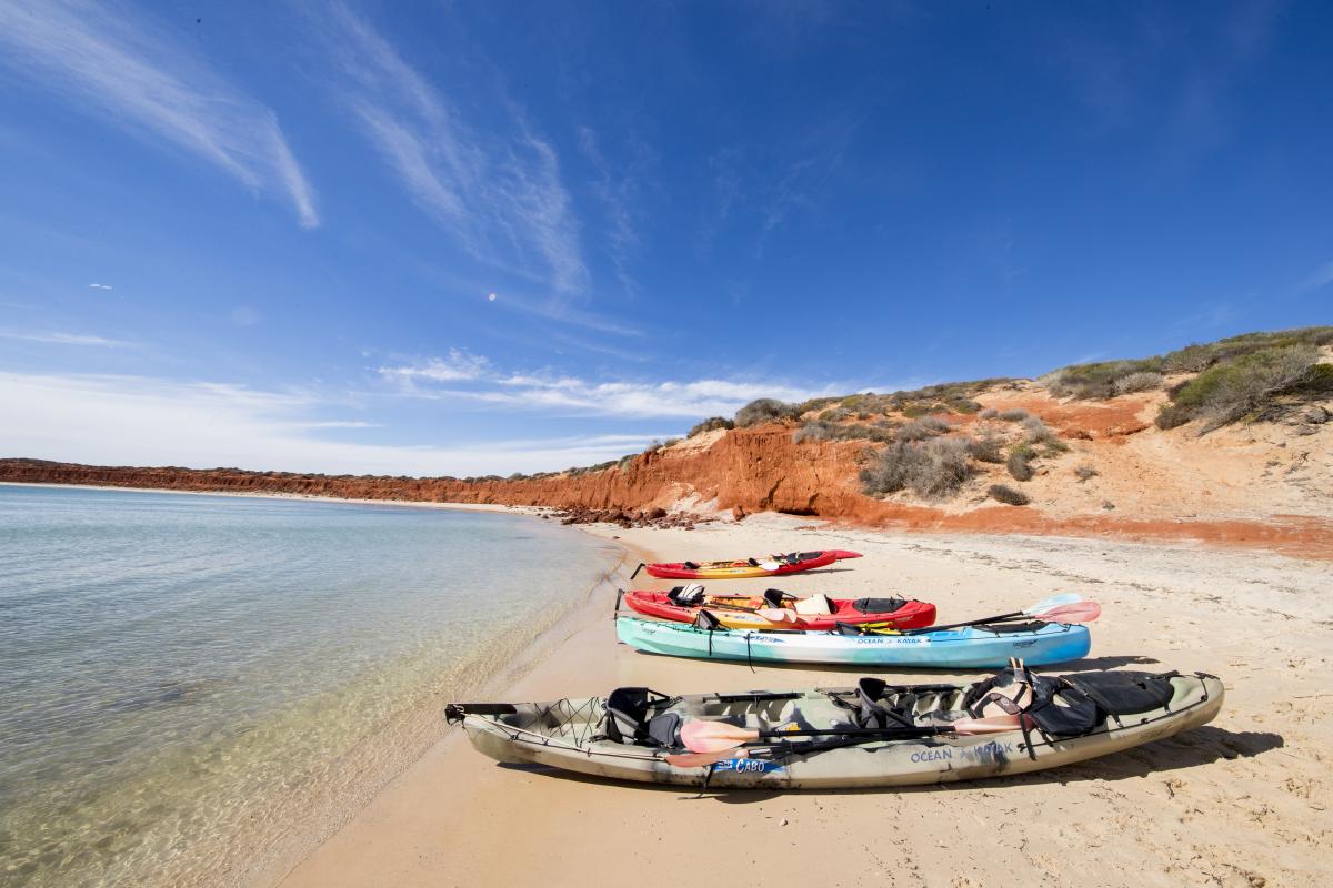Kayaking in Francois Peron National Park Kayaking in Francois Peron National Park