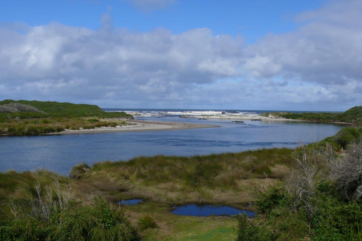 a river mouth to the ocean with vegetated banks on either side and vast blue cloudy sky