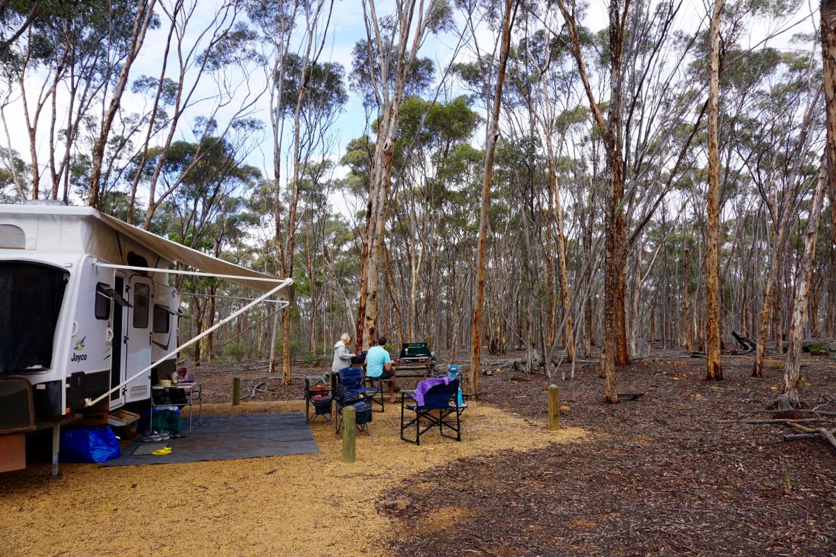 campsite with a caravan set up on a gravel pad with the woodlands in the background