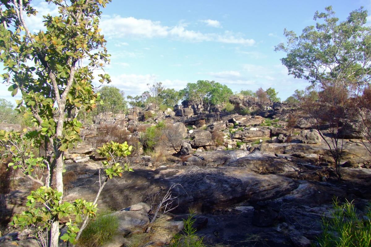 granite outcrops dominating in the outback of Mitchell River National Park
