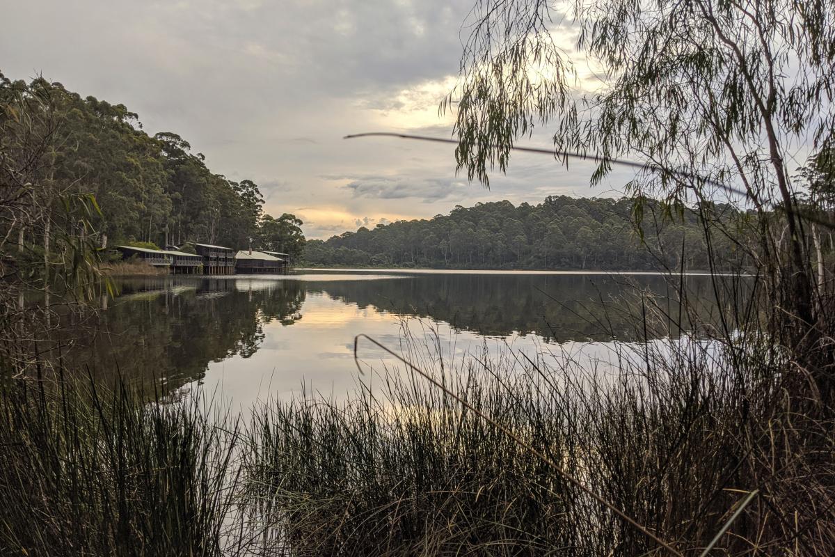 Lake Beedelup and Karri Valley Resort viewed from the edge of the national park, along the walk trail between the resort and Beedelup Falls