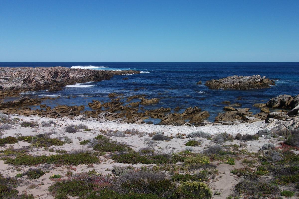 a rugged ocean view from jagged rocks as seen from the Hakea Trail