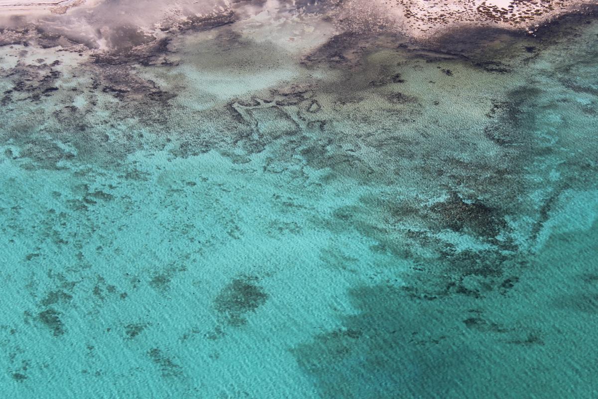Aerial view of Hamelin Pool stromatolites under the clear turquoise water