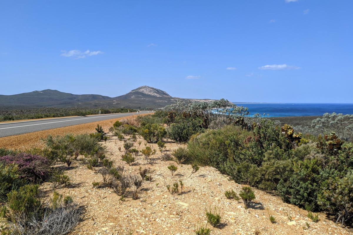 Hamersley drive with the ocean and East Mount Barren in the background Hamersley drive with the ocean and East Mount Barren in the background