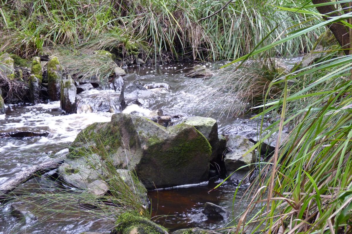 stream of water flowing over rocks with moss covered rocks on either side