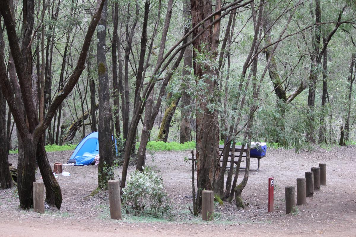 blue tent set up in a campground in a clearing surrounded by trees