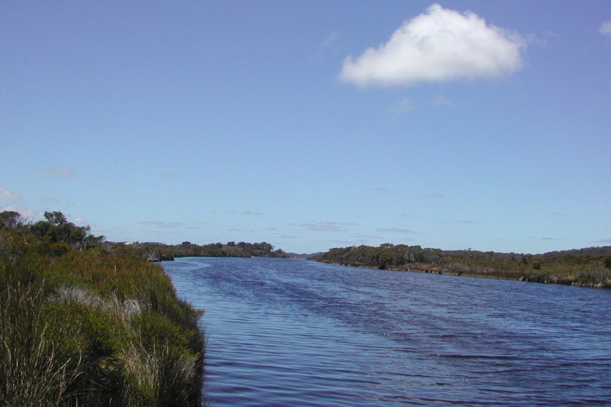 the water reflects the blue sky and green vegetation lines the banks
