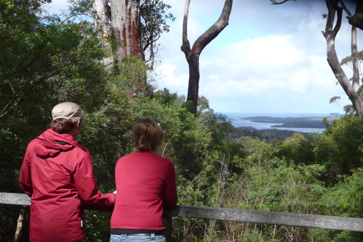 two people leaning on the rails of the lookout which overlooks the inlet and surrounding forest