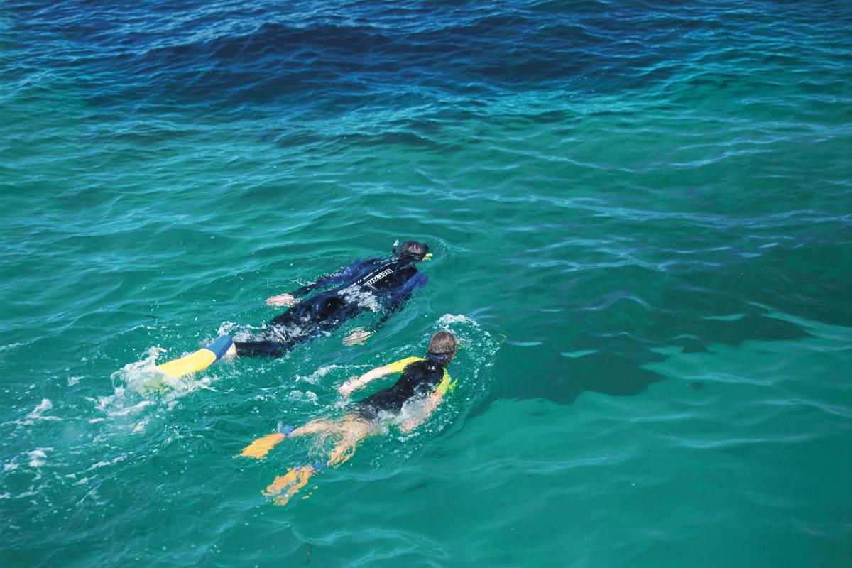 two people snorkelling in the marine park