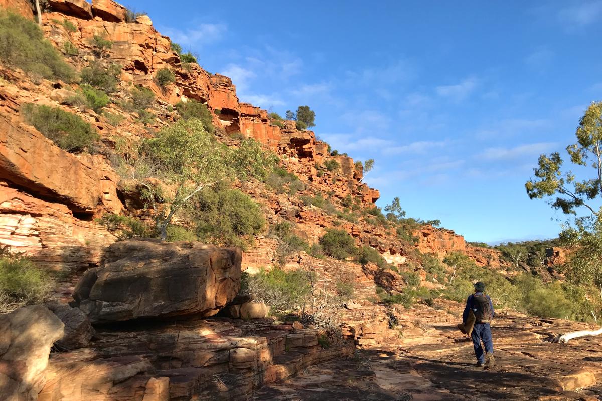 man looking up at banded sandstone rock formations in Kalbarri National Park