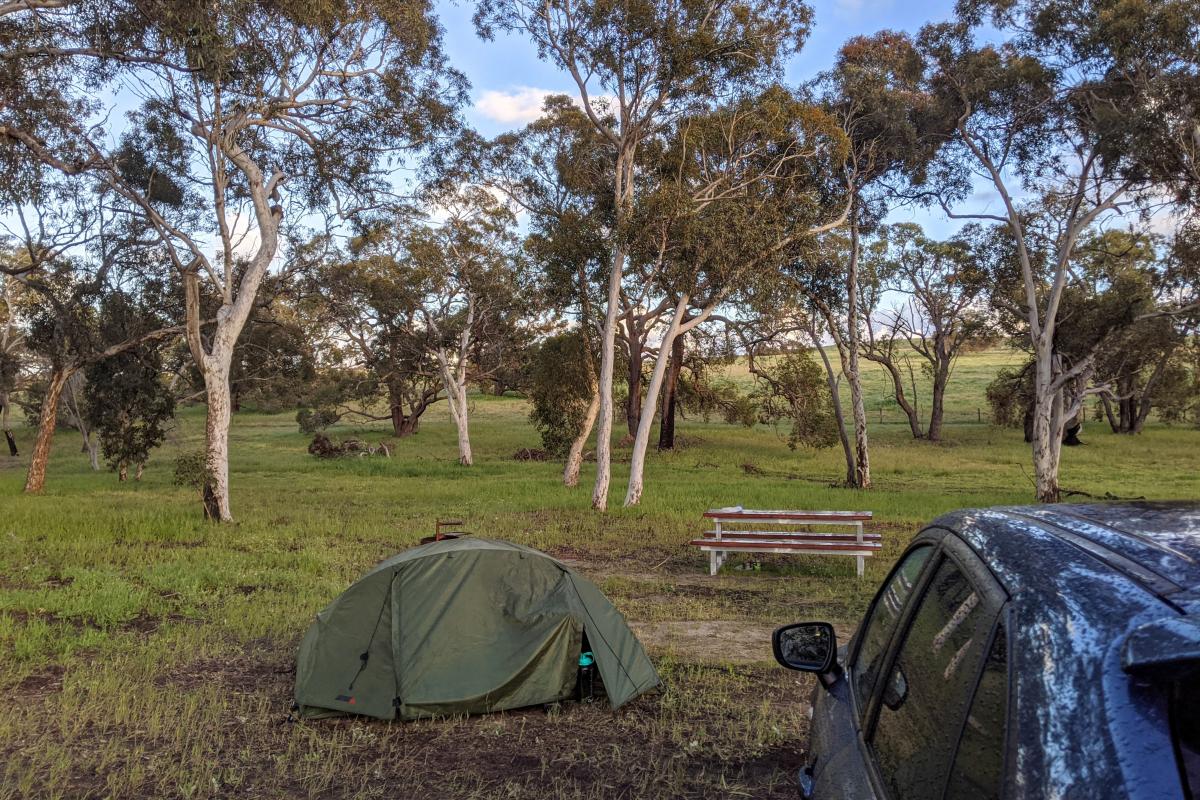 Small tent, picnic bench, Wandoo trees, and car in grassy clearing of Karda Campground
