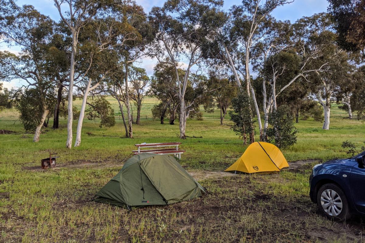 2 small tents in grassy clearing with fireplace, picnic bench, and Wandoo trees