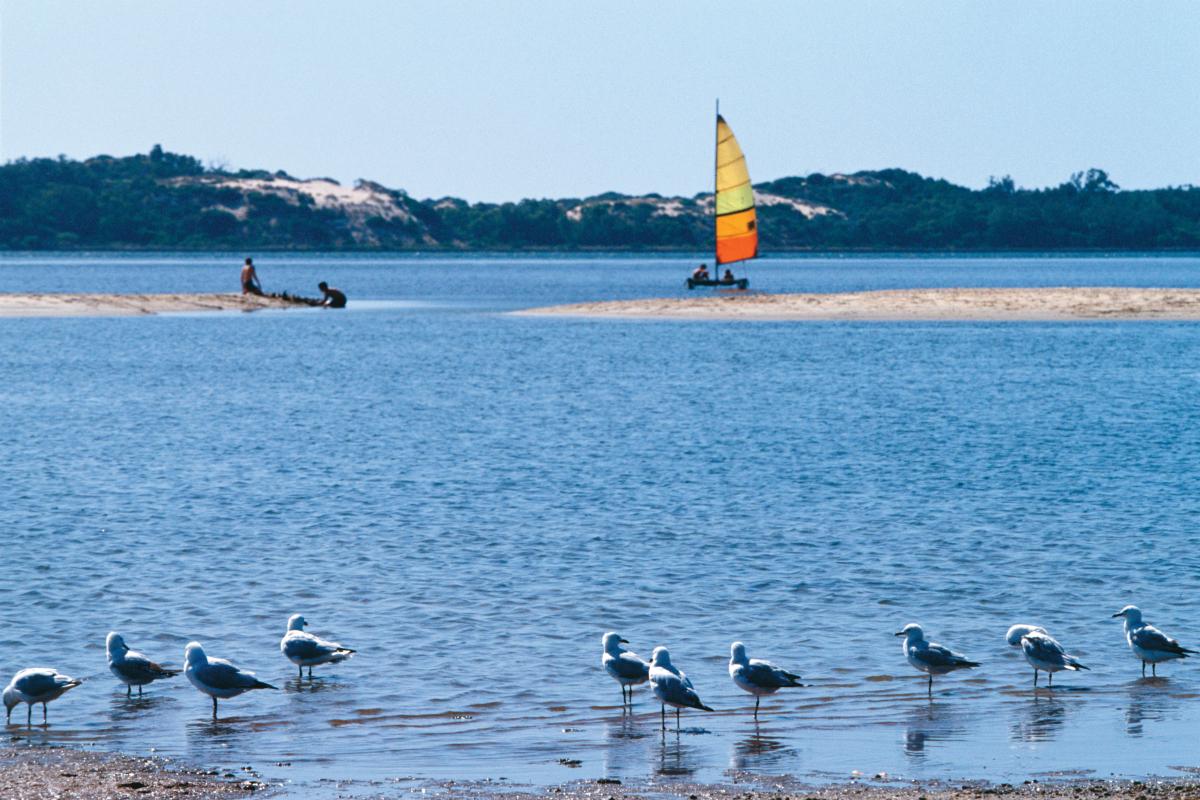 Leschenault Peninsula Conservation Park view of water and sand bars with a small catamaran and dinghy inthe distance