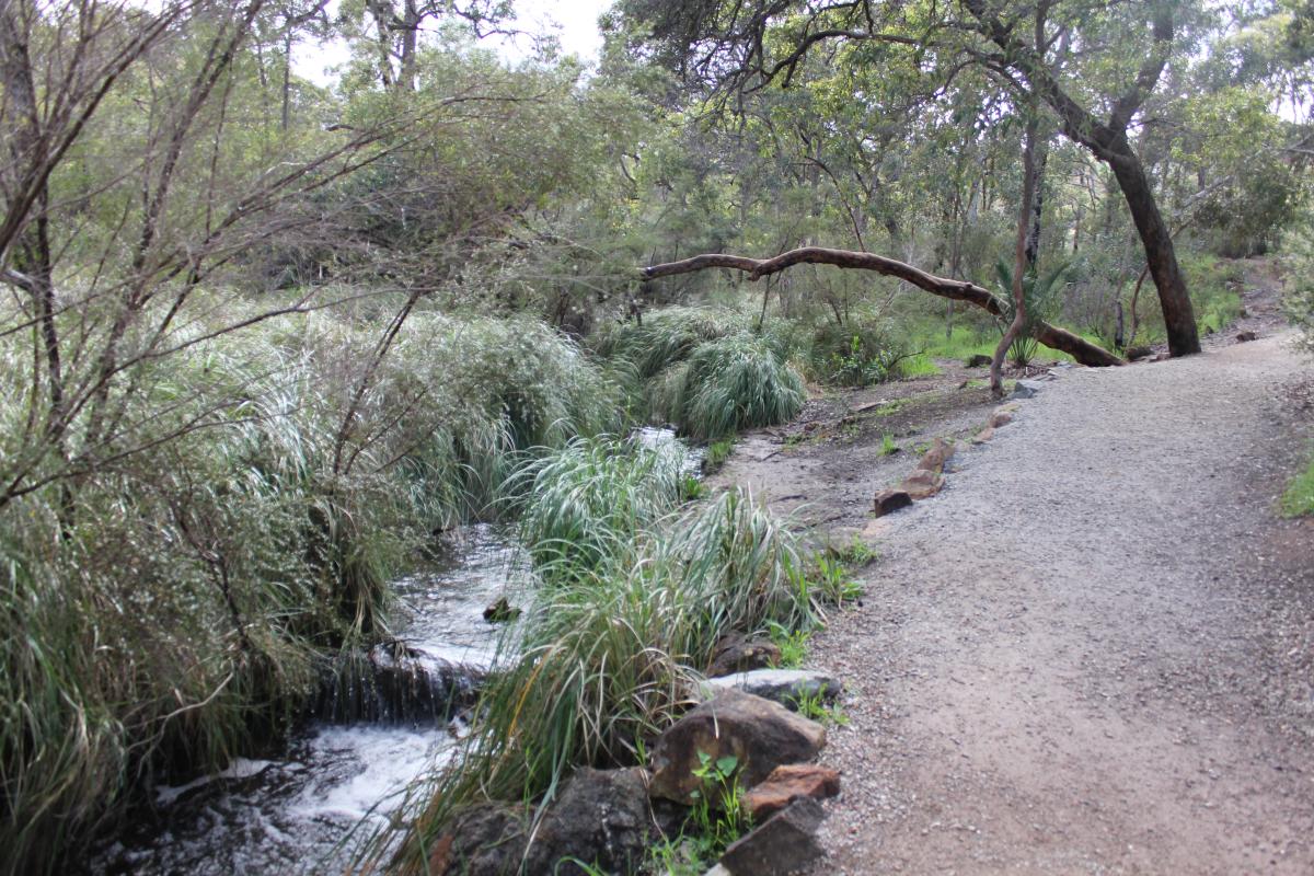 dirt walk trail that follows a stream of water with bush on the other side
