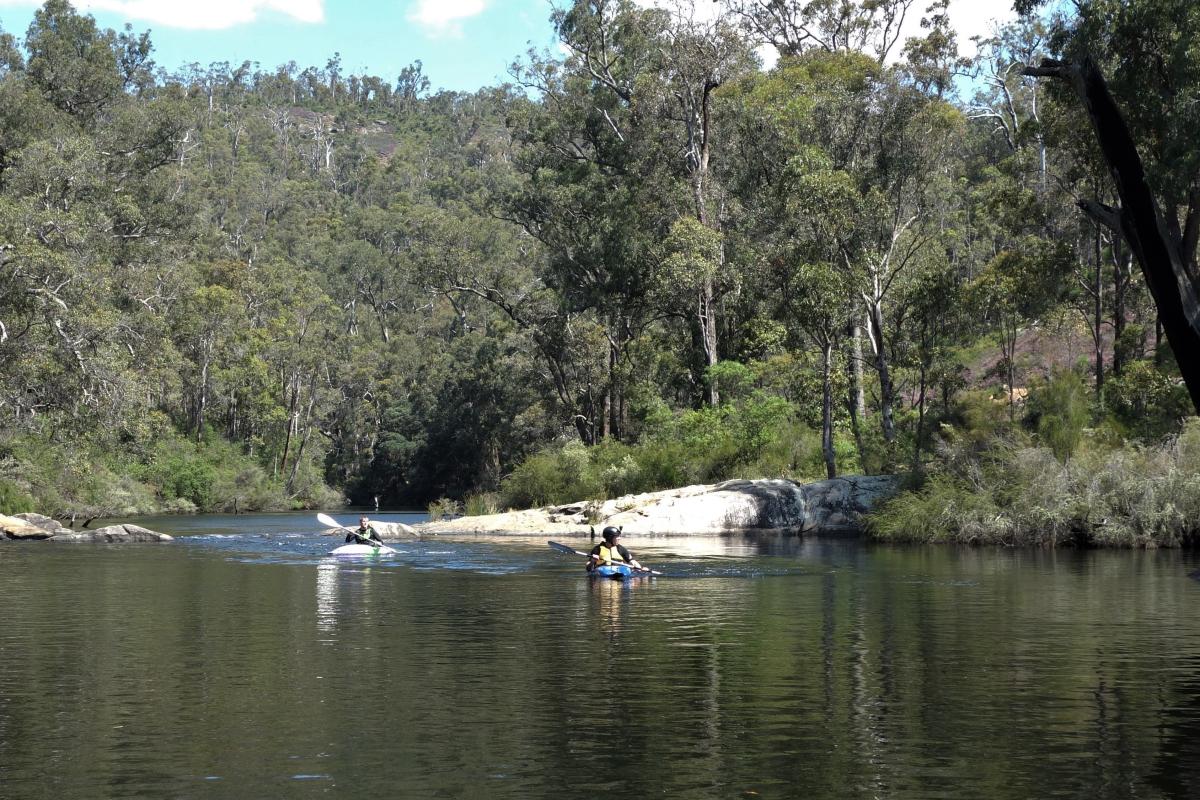 two people canoeing in a river near rocks and forest in the background