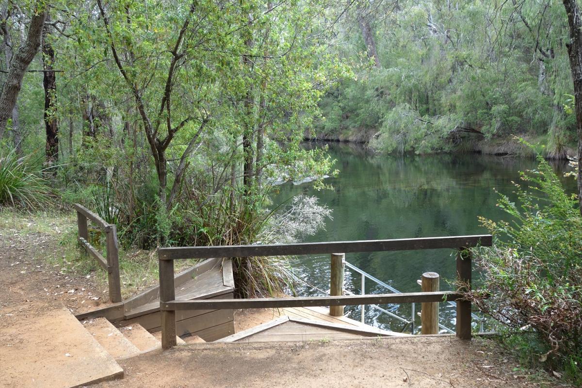 deck with stairs down to the river surrounded by forest