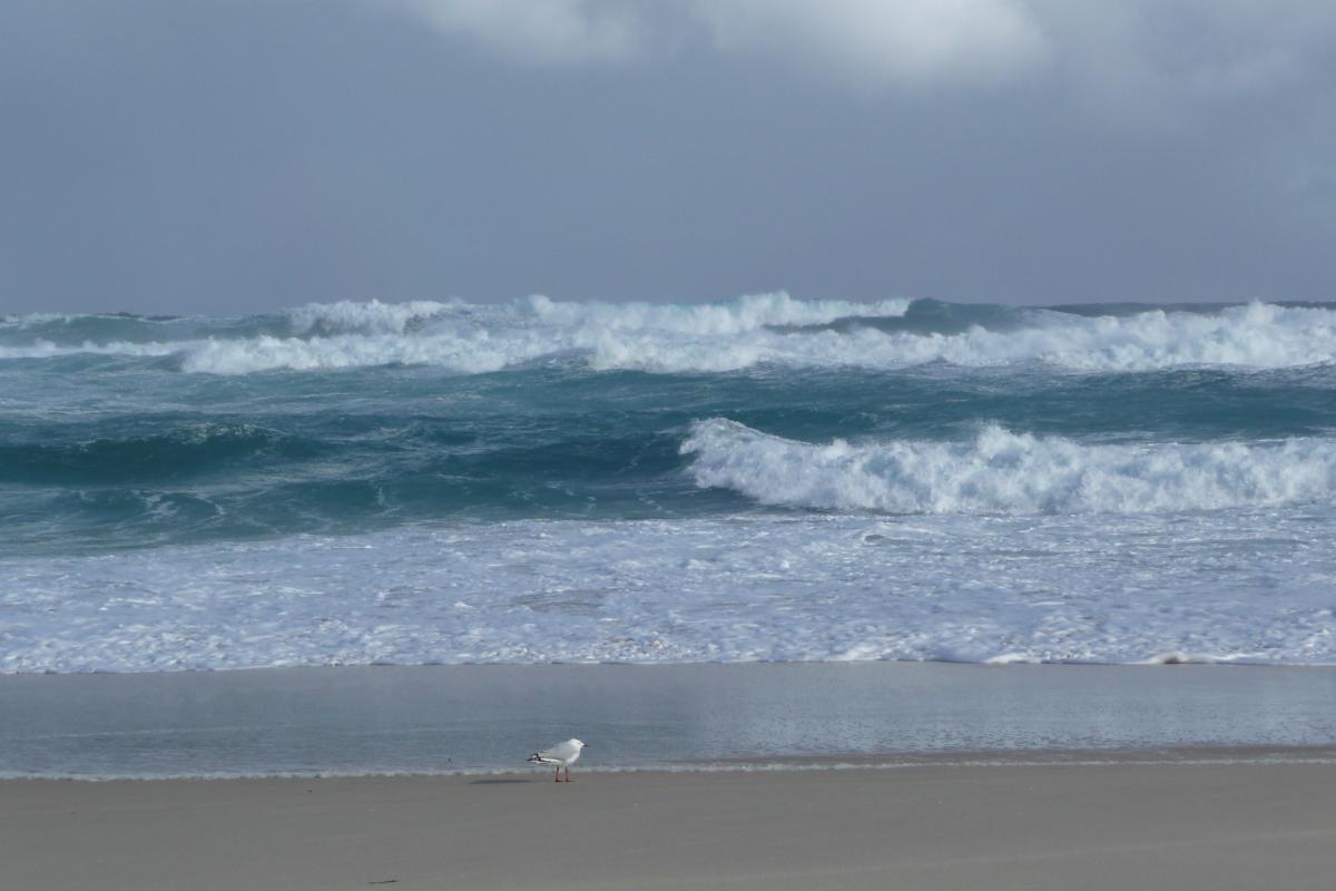 white sandy beach and crashing surf waves