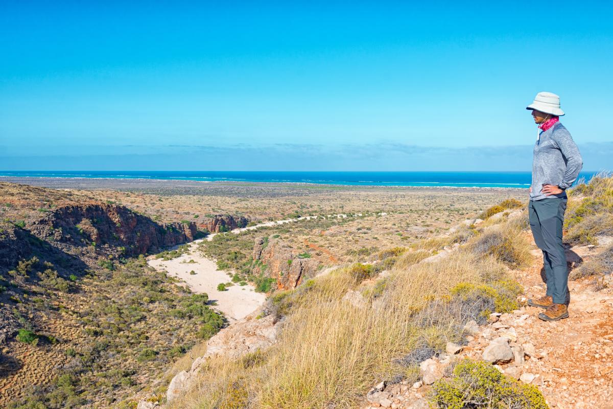 Mandu Mandu, Cape Range National Park. a person standing on top of the gorge wall looking down over the gorge