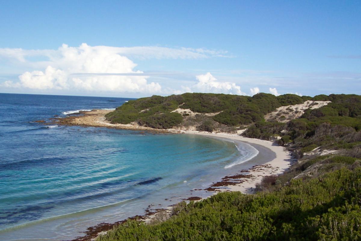 Beautiful quiet bay with vegetated sand dunes and turquoise water