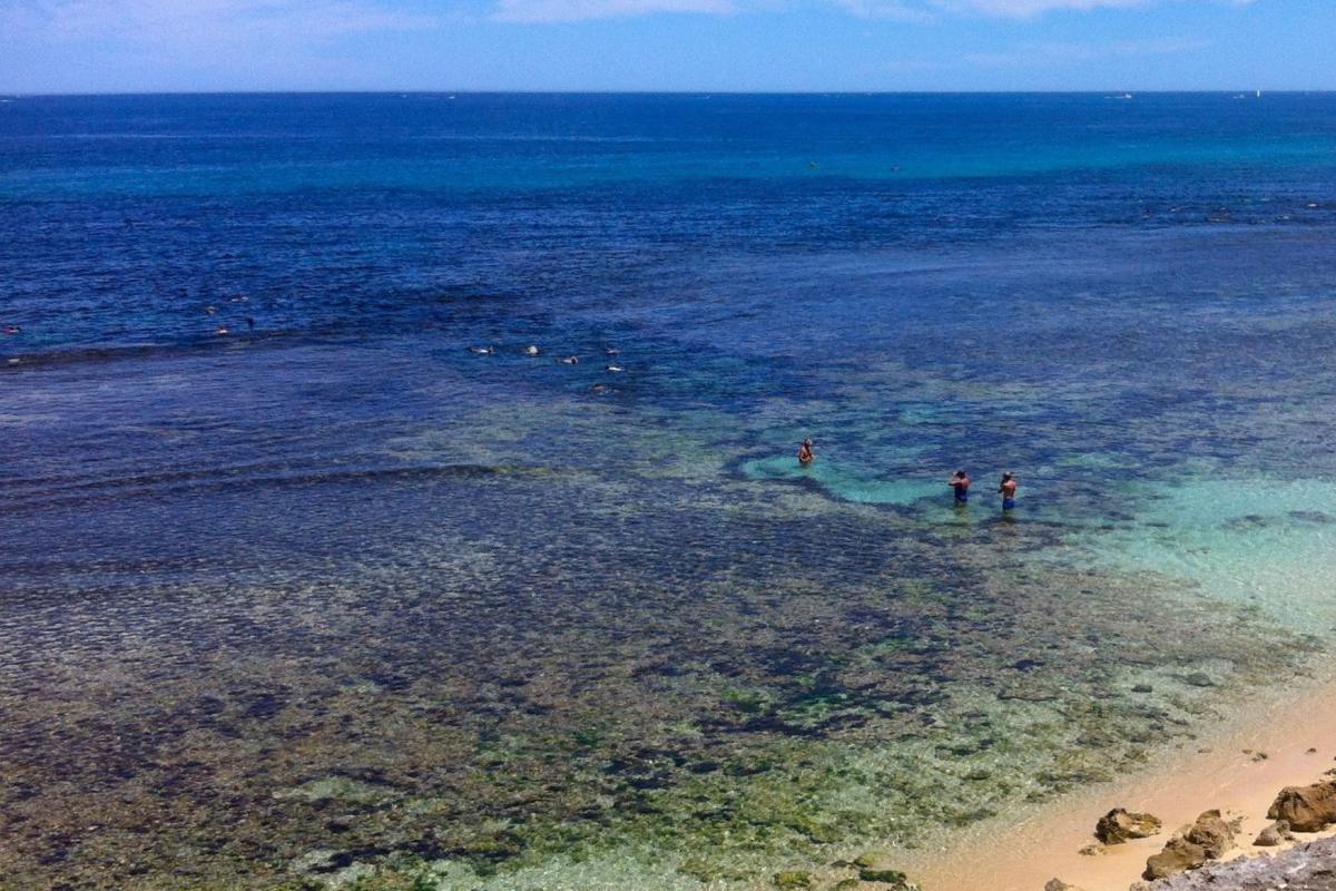 View of people snorkelling in clear blue water 