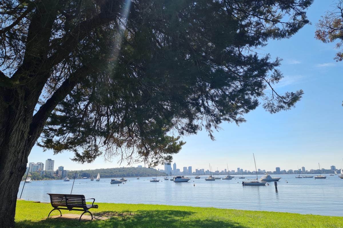 Shady bench seat at Matilda Bay Reserve. bench seat under a large shady tree with boats on the river at matilda bay