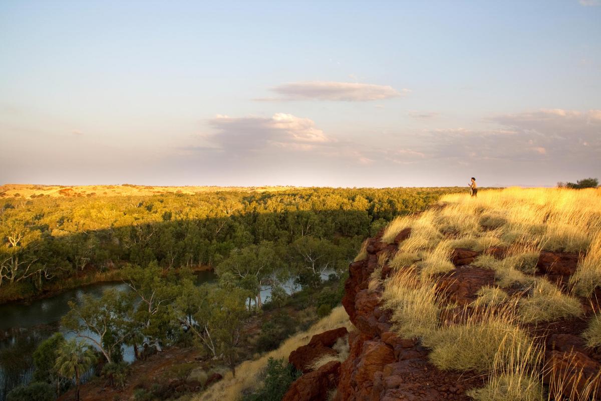 person standing in grasses on the hill overlooking the river and landscape below