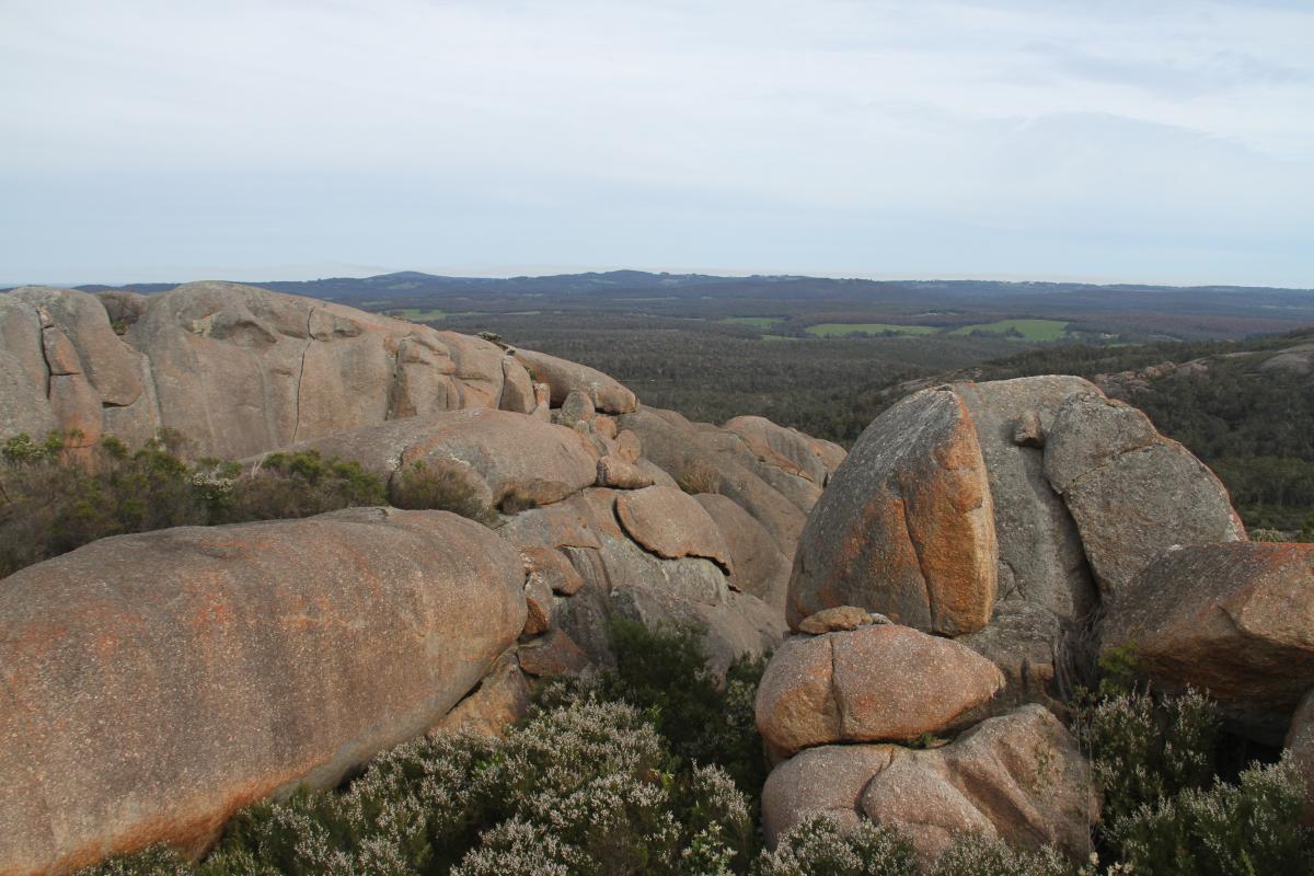 view from the top of the mount lindesay summit walk