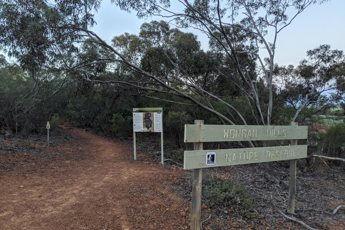 Start of the Mount Matilda walk in Wongan Hills Nature Reserve
