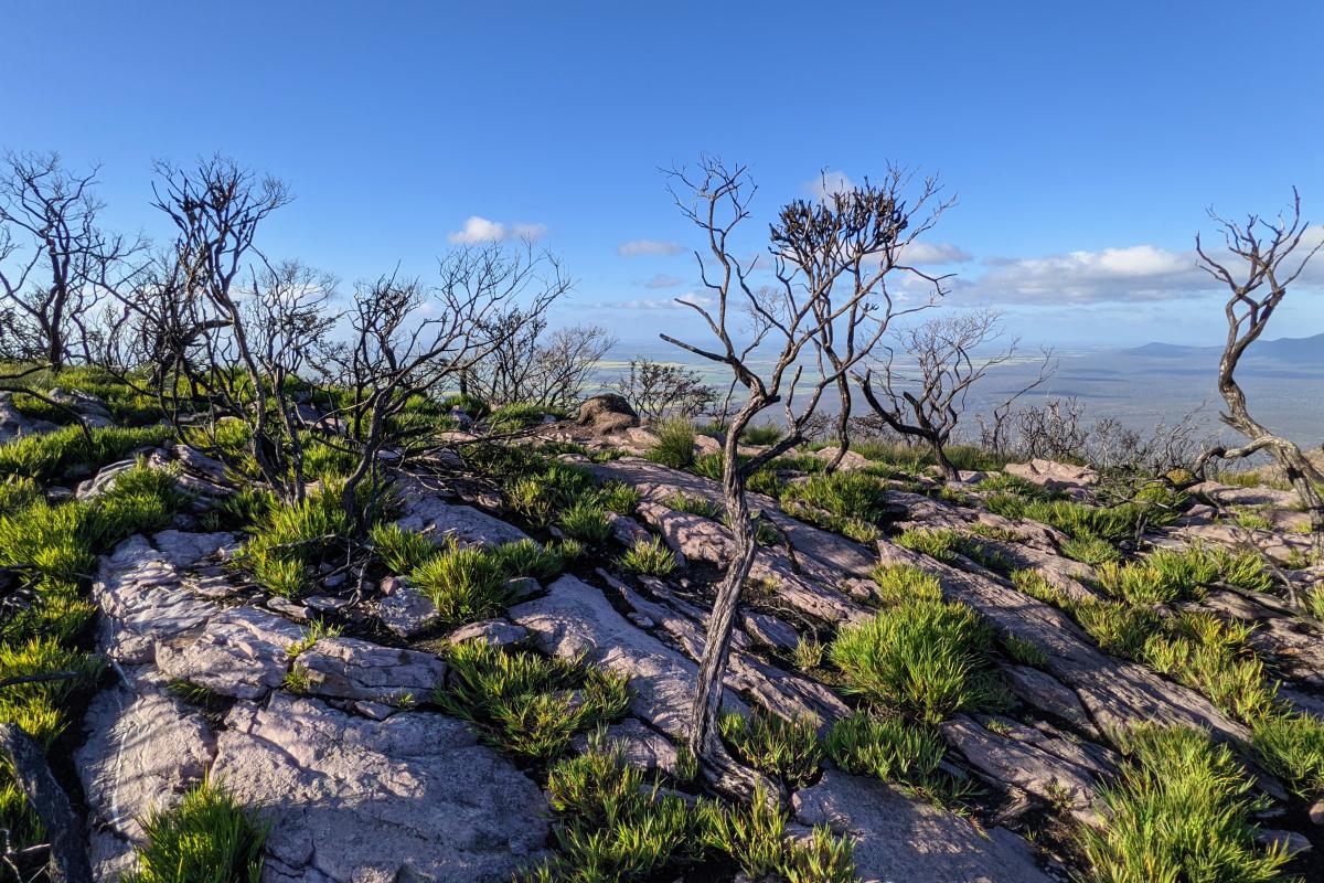 On top of Mount Trio On top of Mount Trio