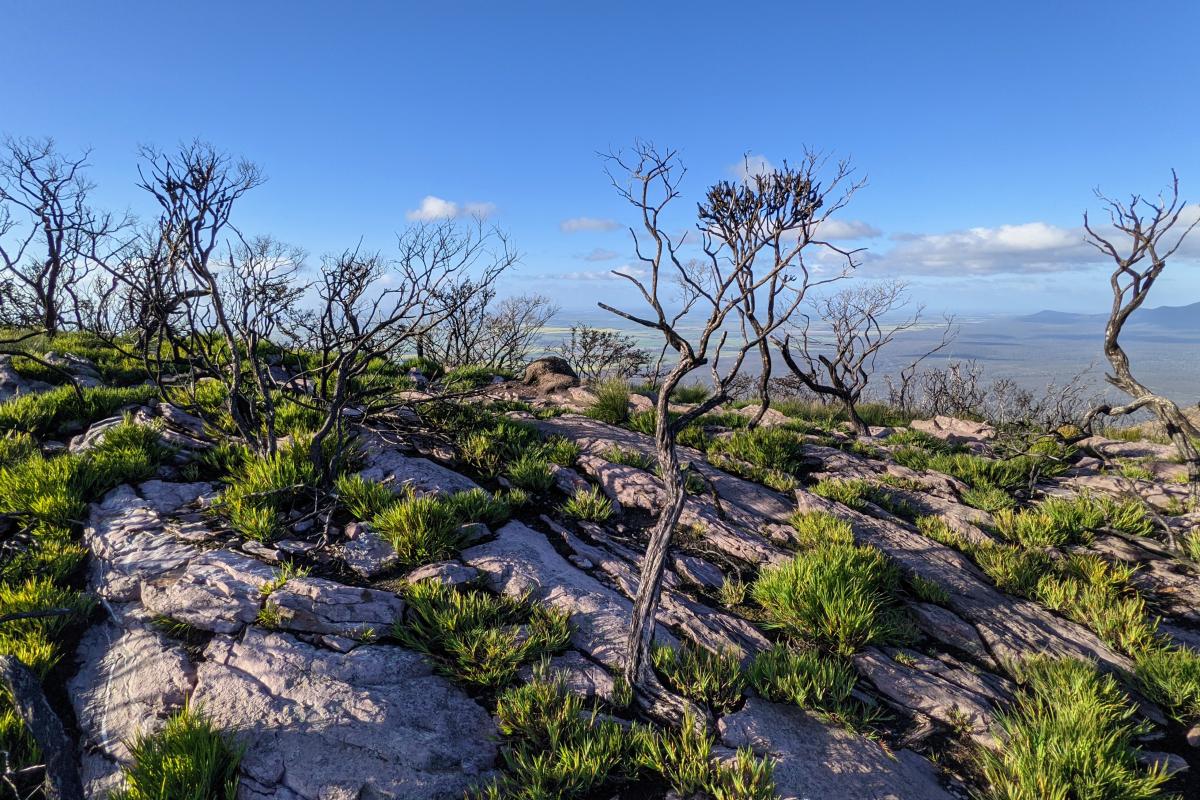 On top of Mount Trio