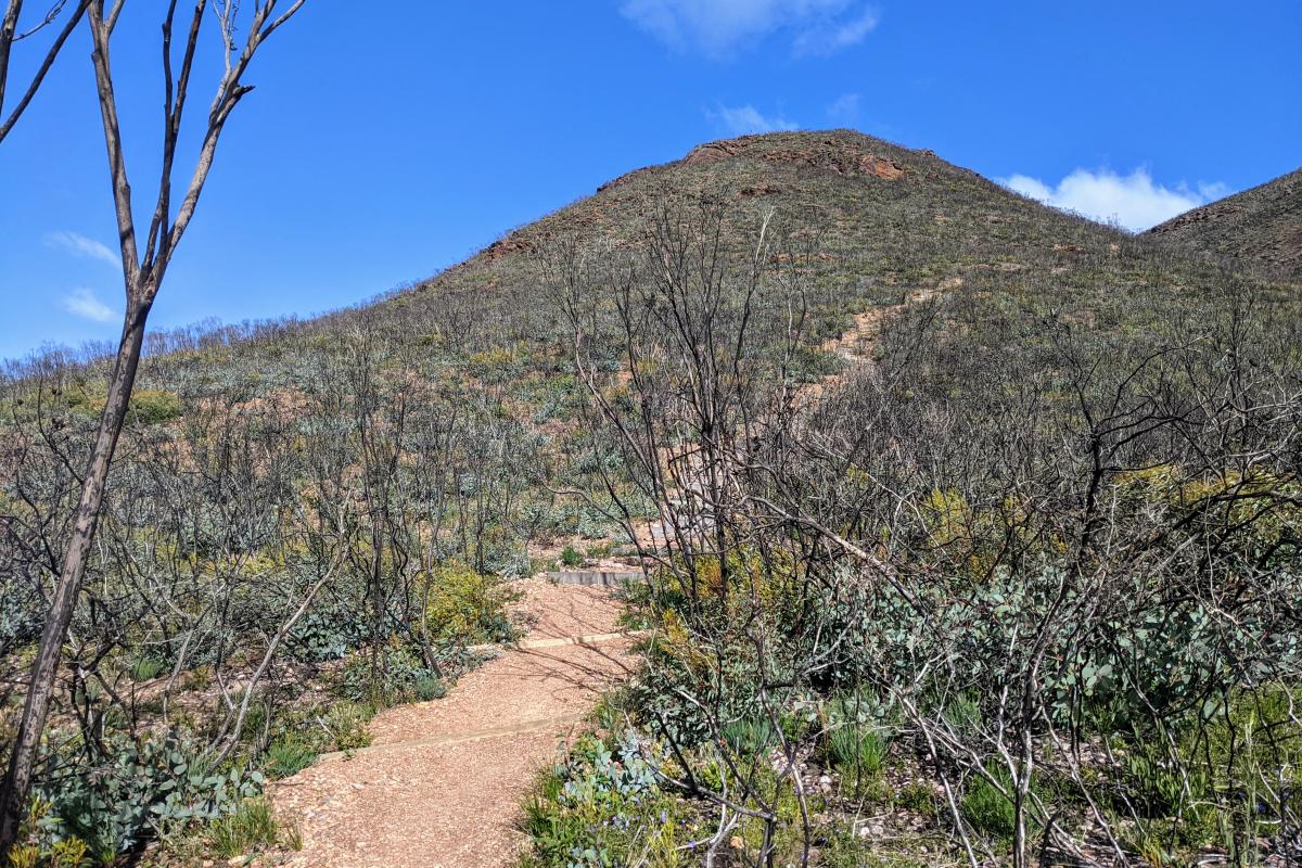 Near the start of the Mount Trio trail