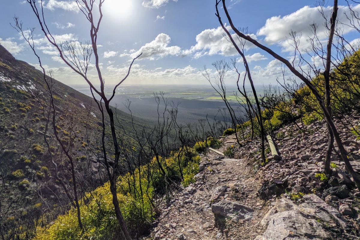 Views from the Mount Trio Trail