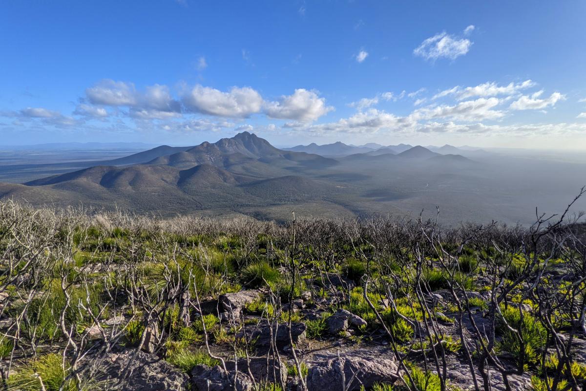 Views from the top of Mount Trio to Toolbrunup and beyond as far as the Porongurups