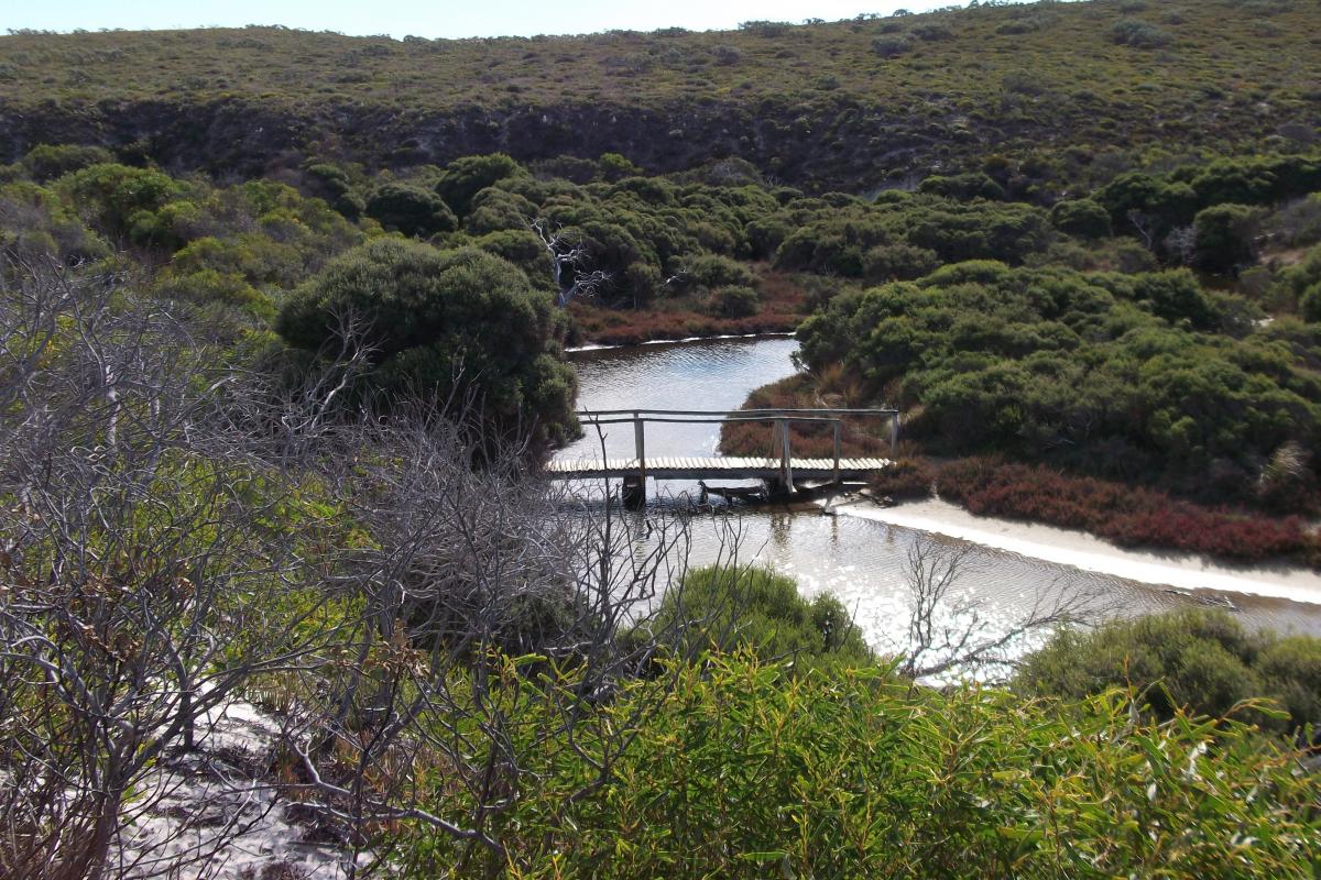 Mylies Beach Fitzgerald River National Park view of a wooden footbridge across an inlet through dense native vegetation at Mylies Beach