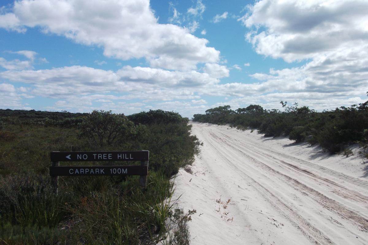 wide sand driving track with a wooden sign for No Tree Hill under a cloudy sky