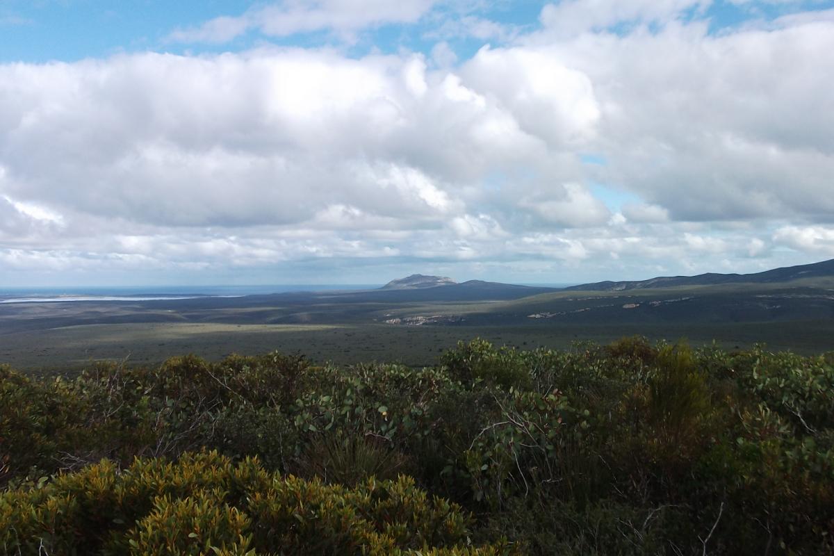 view from No Tree Hill across dense vegetation to the ocean in the distance