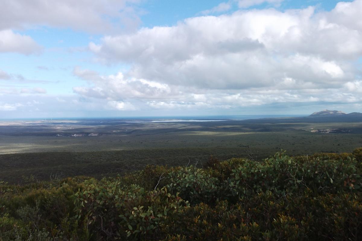 view from No Tree Hill across dense vegetation to the ocean in the distance