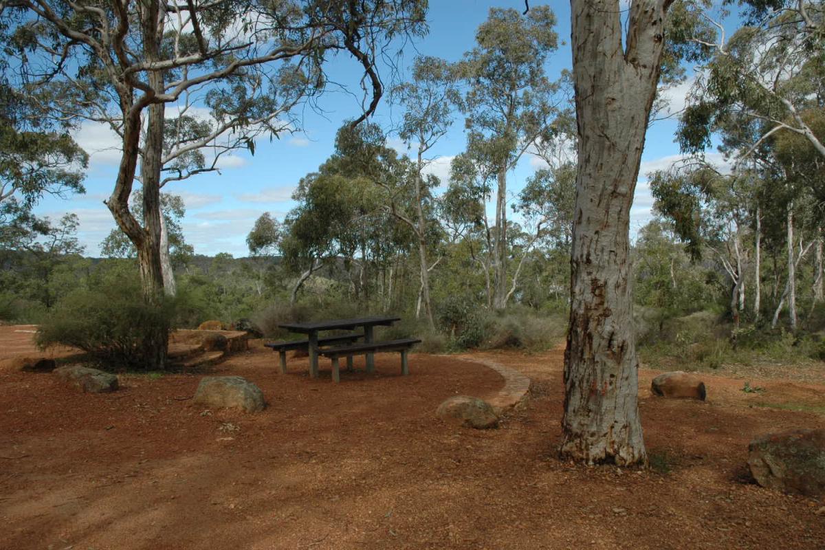 picnic area high in the hills and forest of the darling scarp