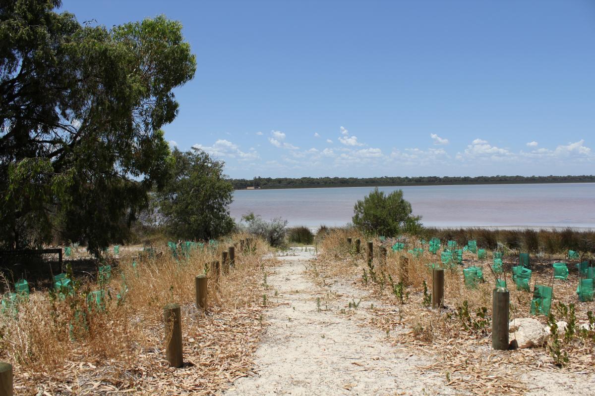 sandy track down to the lake with trees and blue sky