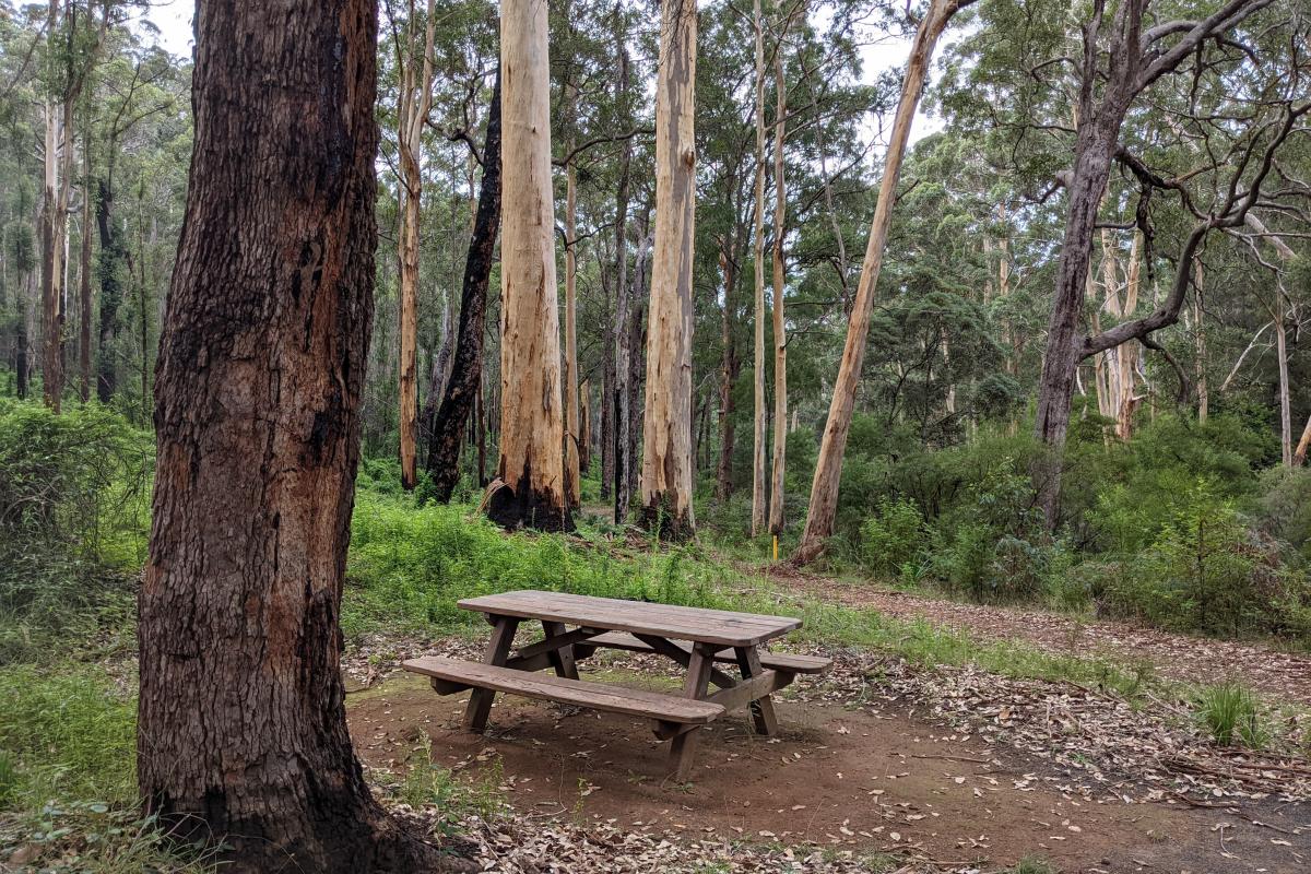 Picnic table next to One tree Bridge Picnic table next to One tree Bridge