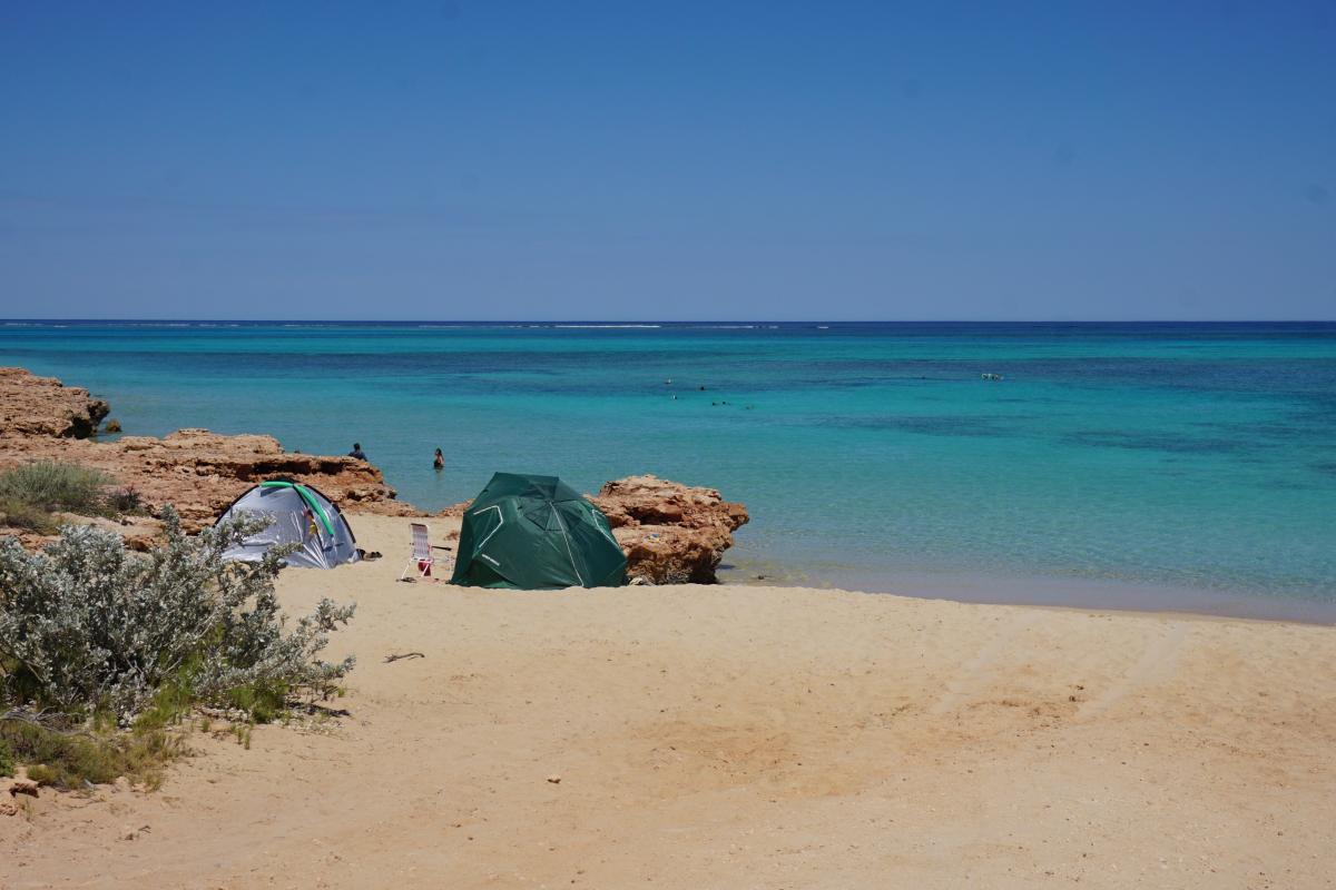 people on the beach and in the ocean at osprey bay