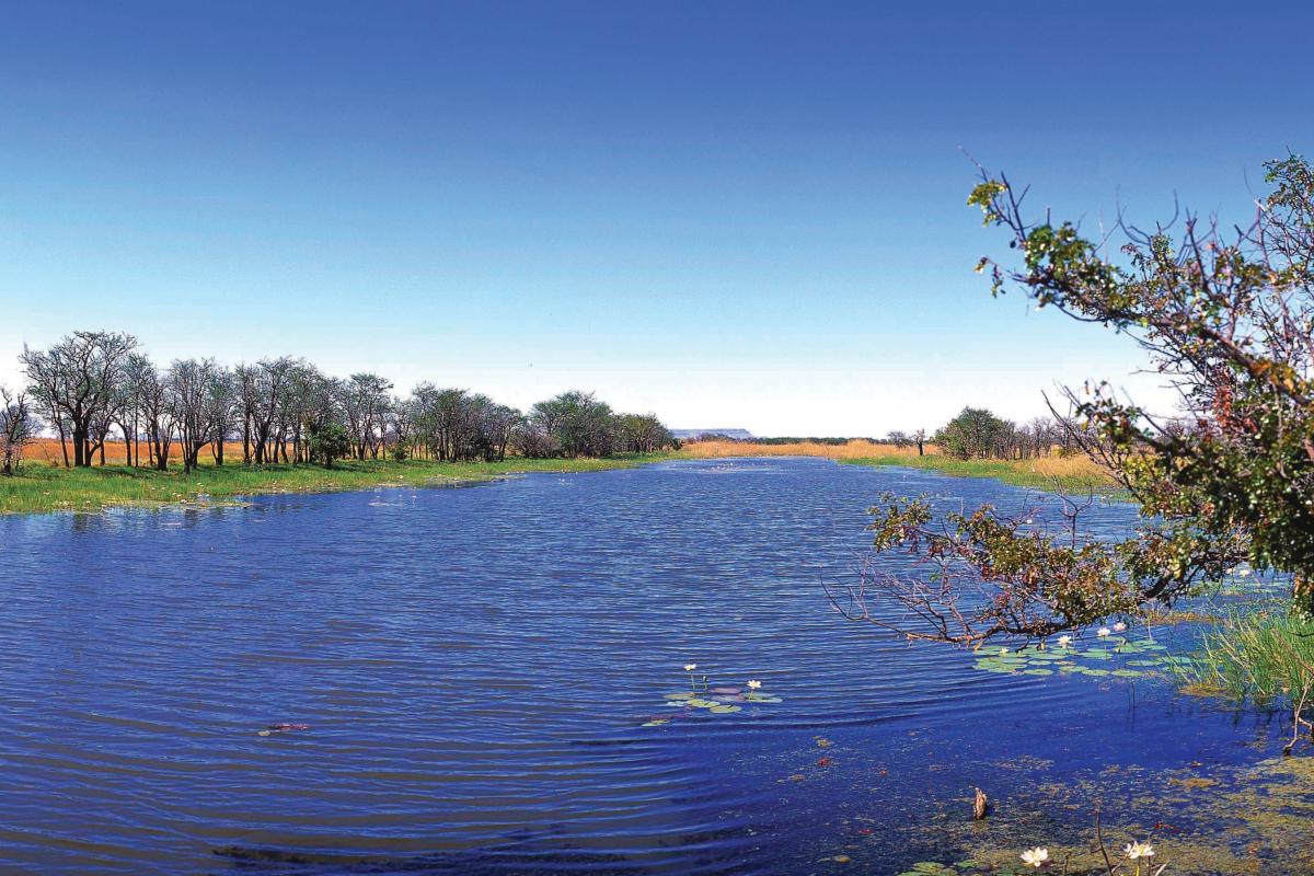 Parry Lagoon Nature Reserve View of lake surrounded by lush green vegetation