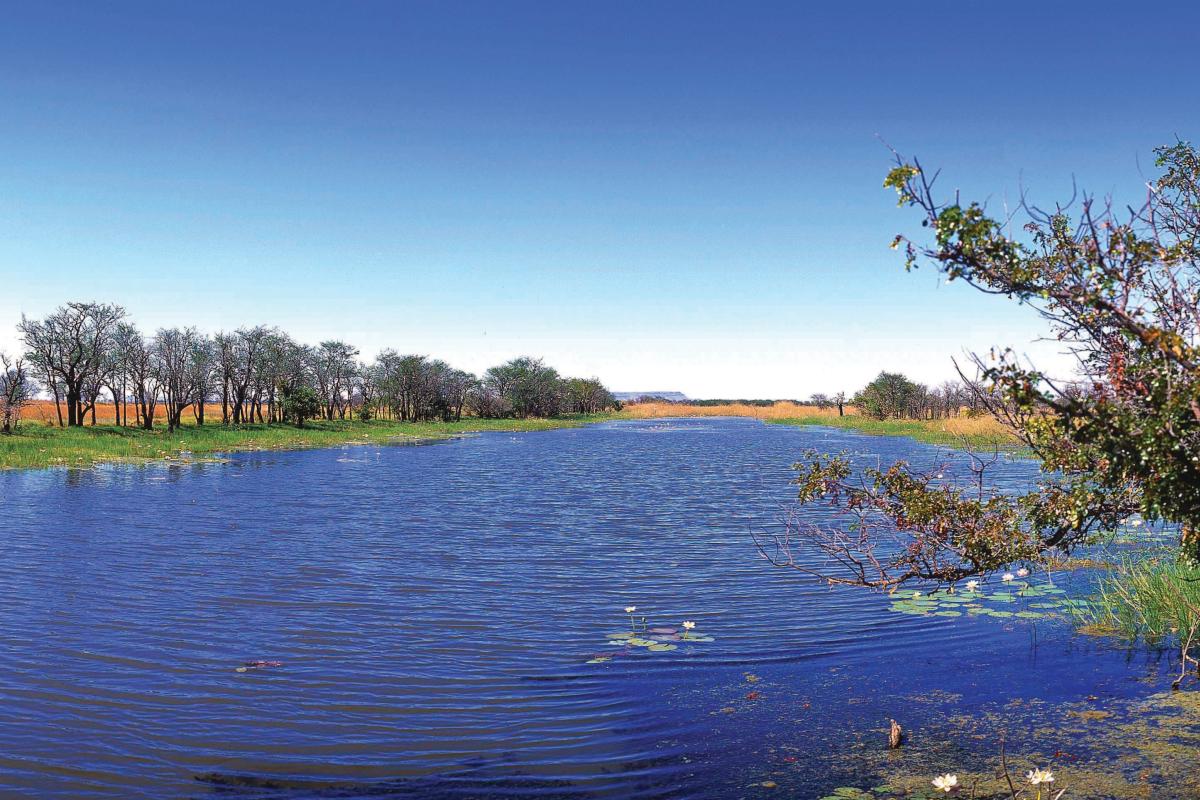 View of lake surrounded by lush green vegetation