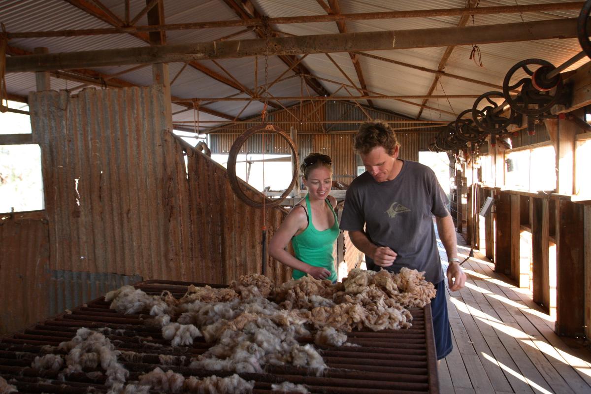 Two people looking at displays at Peron Homestead