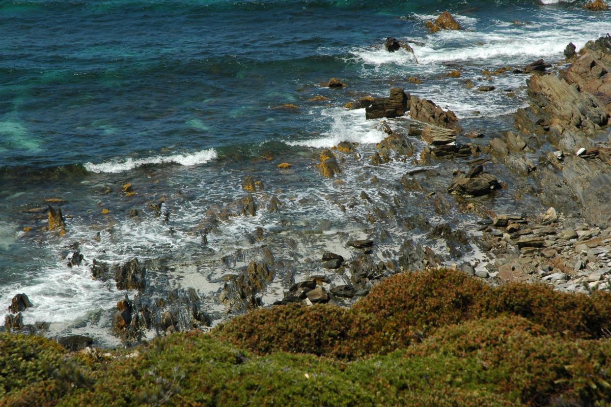 looking down at waves breaking onto rocks at Point Ann