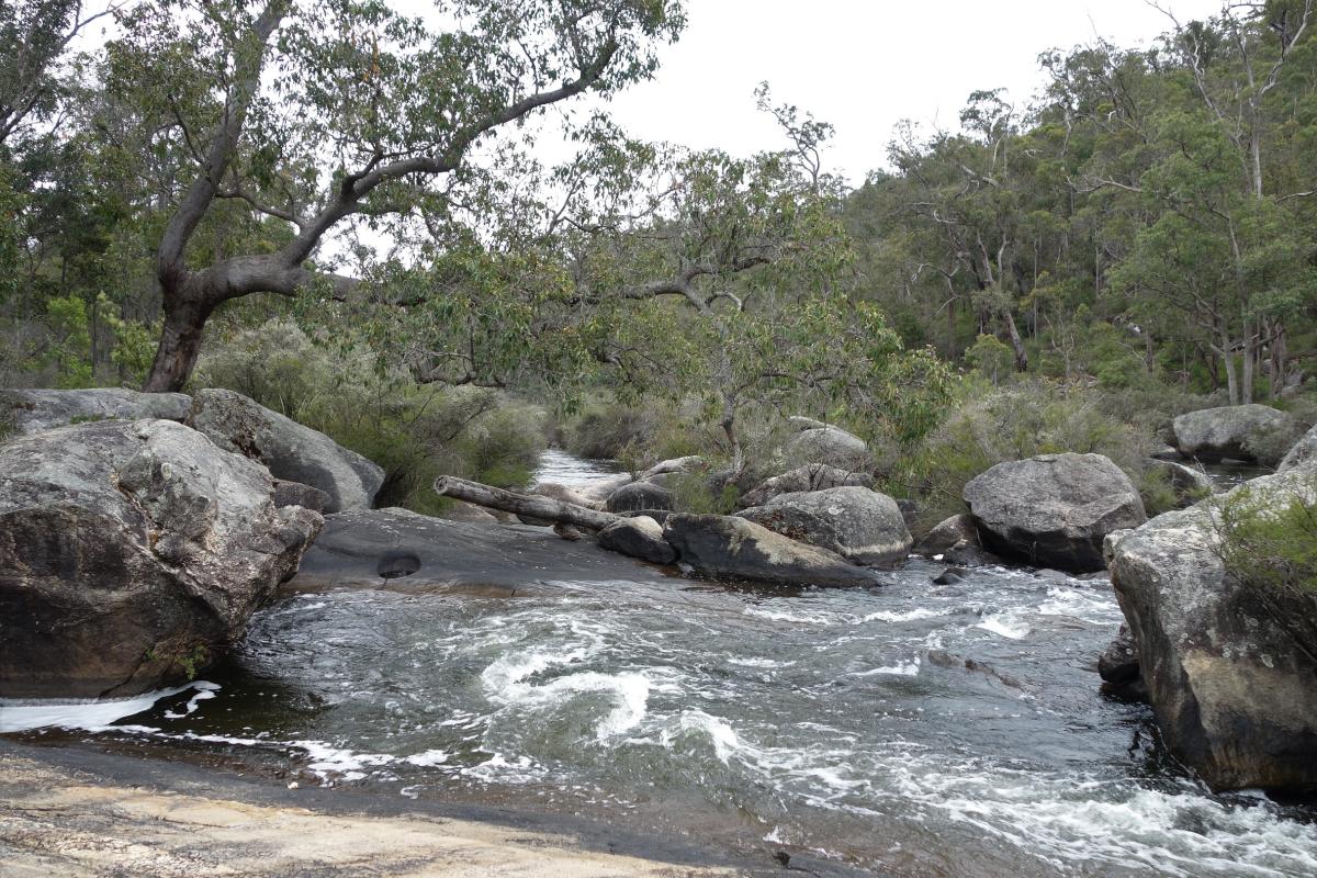 Rapids, Wellington National Park river flowing over big rock slabs of granite with forest in the background