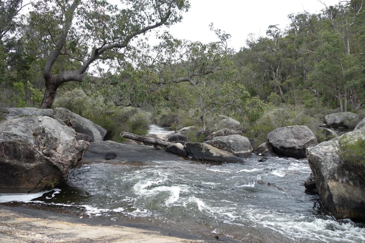 river flowing over big rock slabs of granite with forest in the background