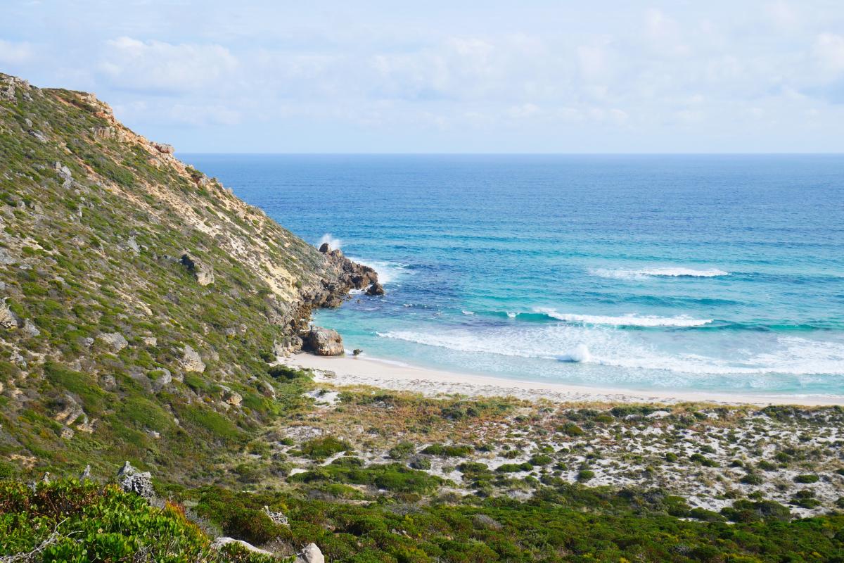 Coastal heath and limestone cliffs with the blue ocean in the background