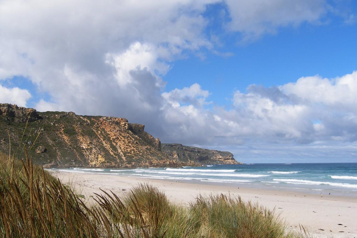 dunal grasses and white sandy beach with limestone cliffs and ocean in the background